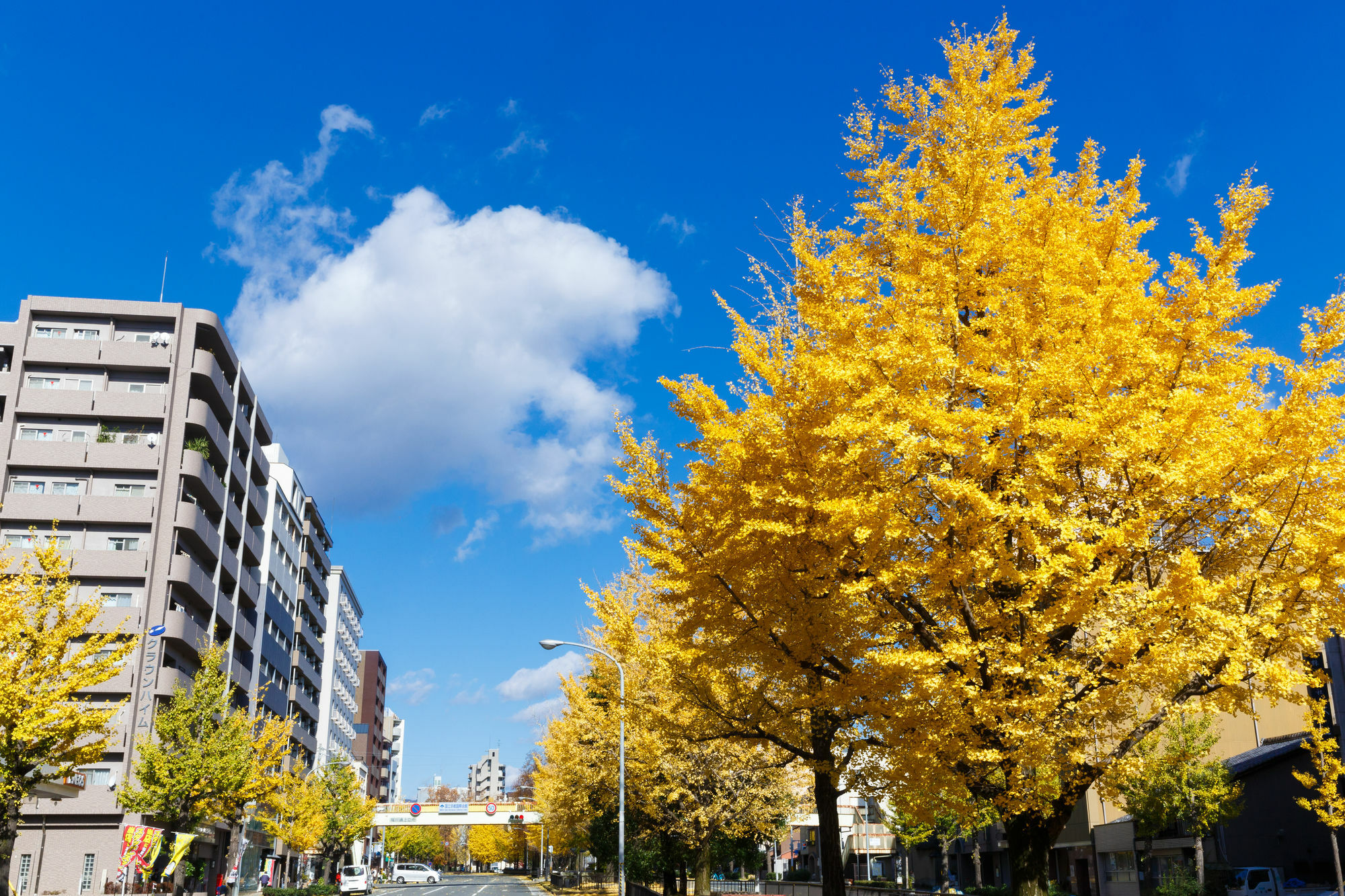 Kyoto City Hotel Εξωτερικό φωτογραφία